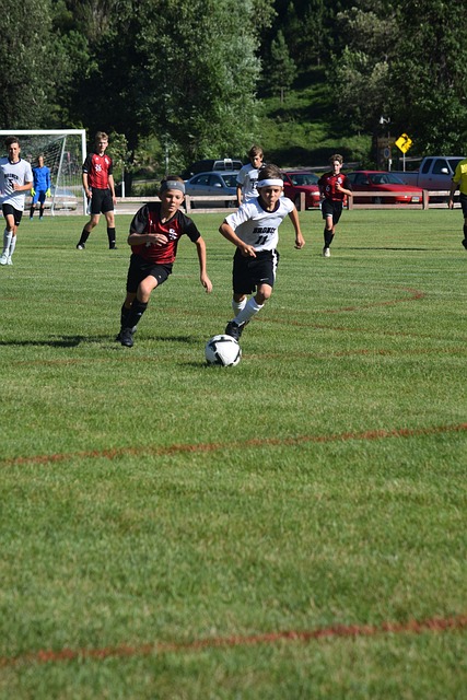  Kaiyun·体育 (中国)官方网站_KAIYUN SPORTS  